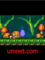 game pic for Primitive very best in Adventure Island  CN